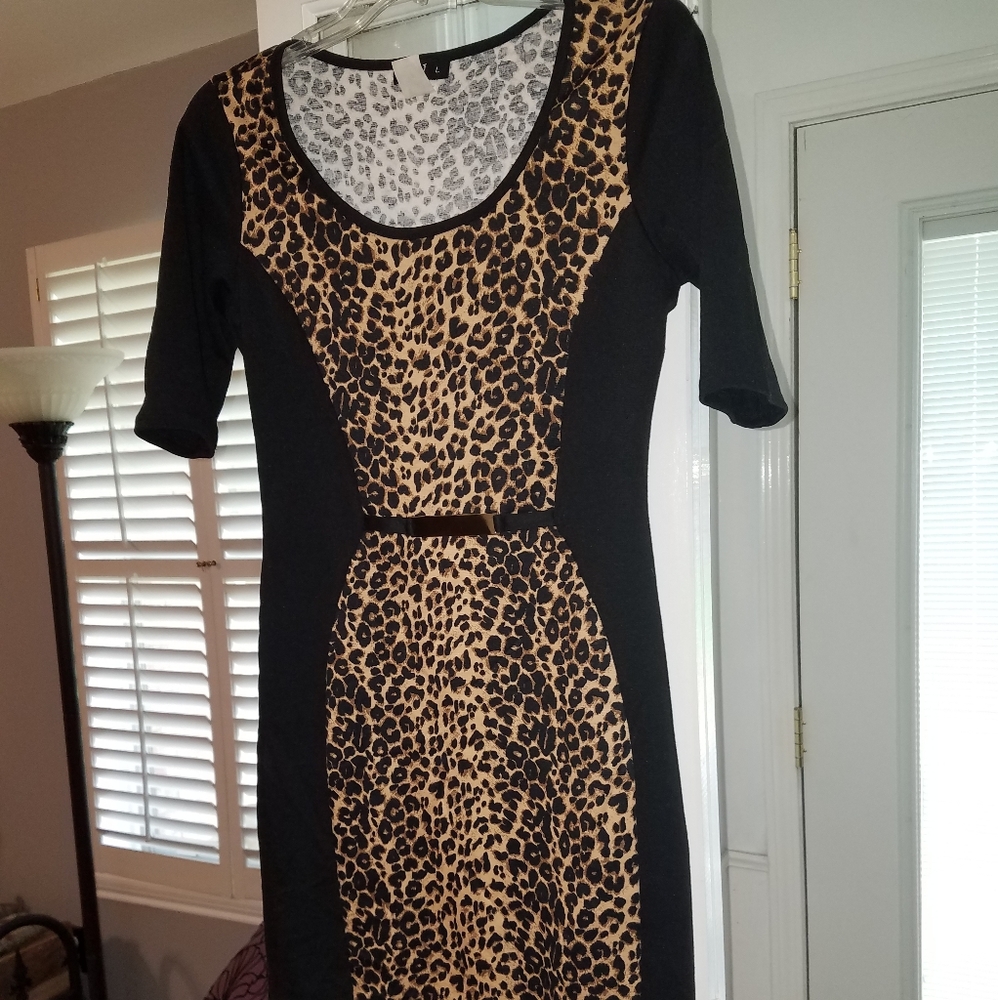 Ladies Dresses